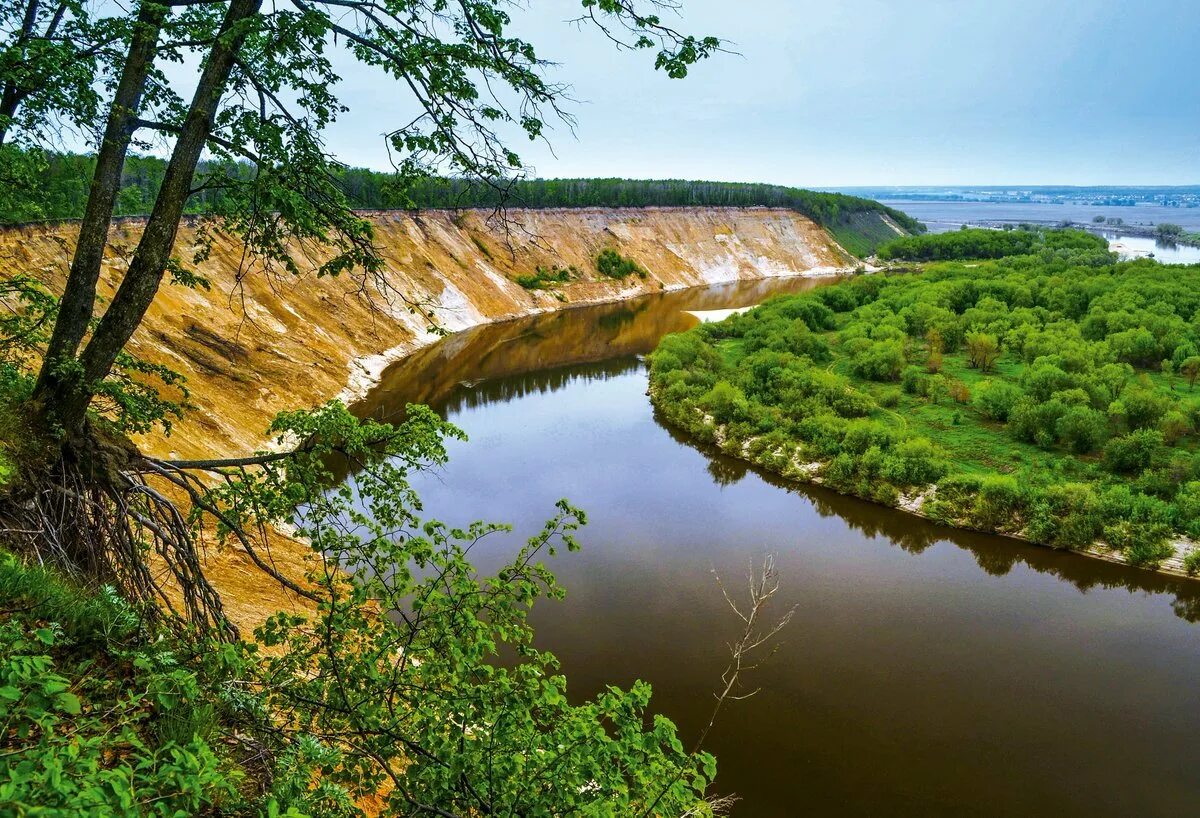 Кривоборье воронежская область лысая гора. Подкова реки дон кривоборье. Береги воронежская область. Берег реки дон воронеж. Река дон воронежская область лиски.