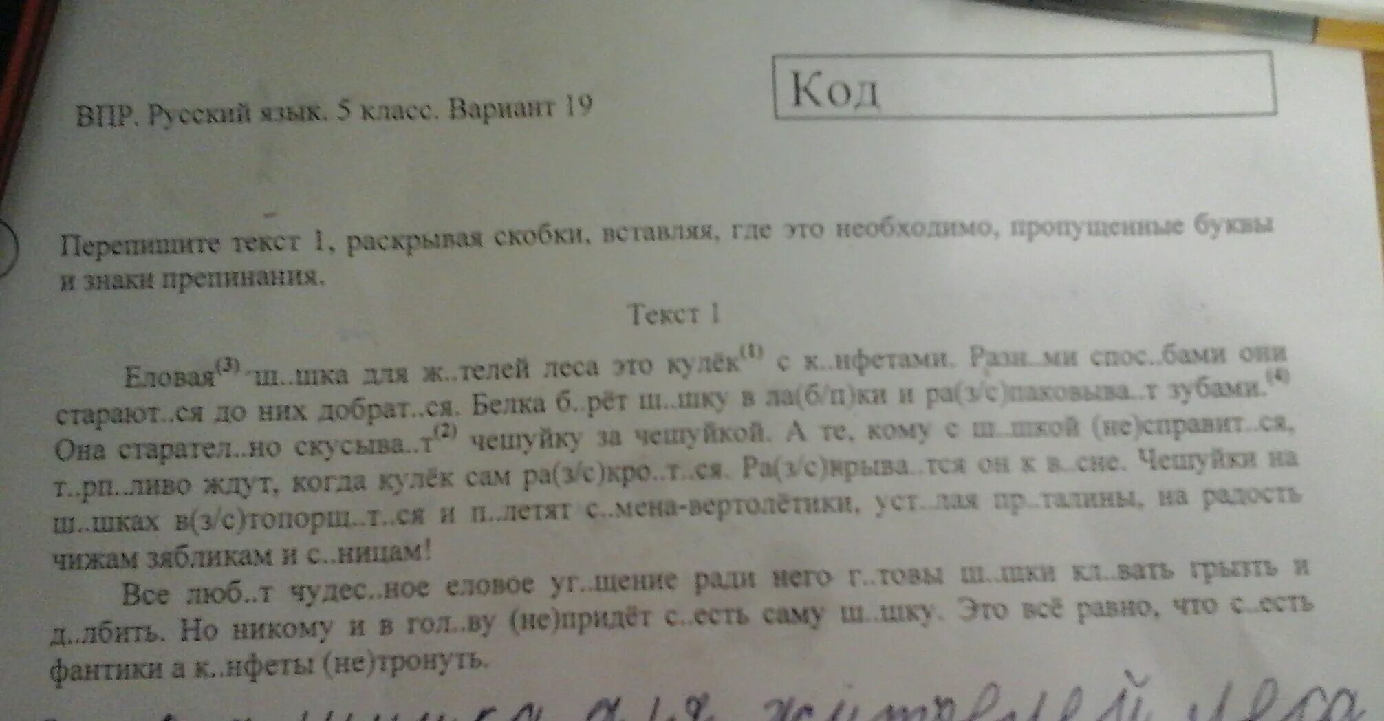 Текст белка 4 класс впр. Еловая шишка для жителей леса ВПР по русскому. ВПР 6 класс Еловая шишка ответы. Еловая шишка для леса-это кулек. ВПР 5 класс.