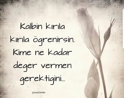 Sen gerek