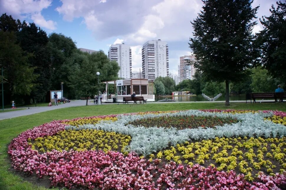 Клумбы города саранска. Зюзино раменский район. Вертикордия. Растения растущие на юго западе москвы. Кактус echinocereus красный.