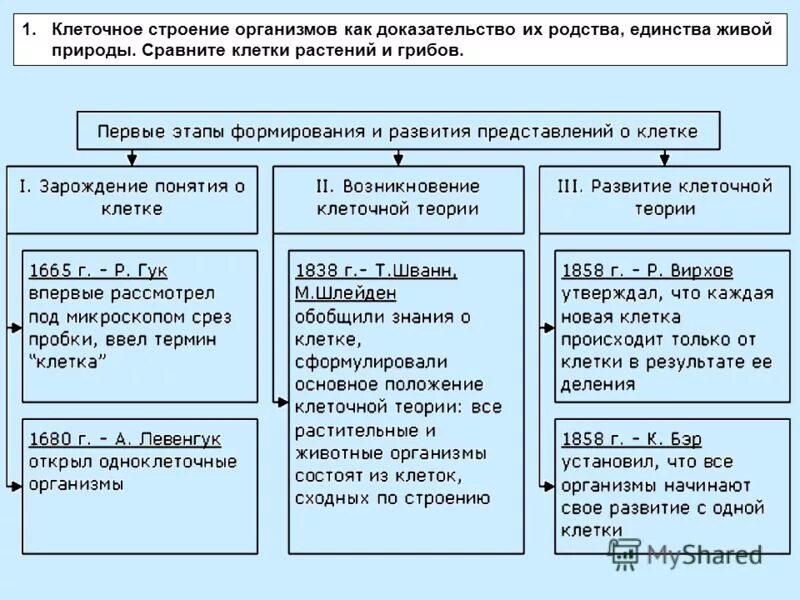 Клеточная теория строения организмов. Клеточное строение организмов как доказательство их родства. Клеточная теория строения организмов таблица. Формирование представлений о клетке.. Этапы формирования и представления о клетке.