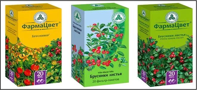 Брусничный лист при цистите. Препараты с брусникой. брусничный сбор от цистита. брусничный лист от цистита. клюква трава в аптеке.