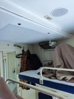 Северная пальмира поезд остановки