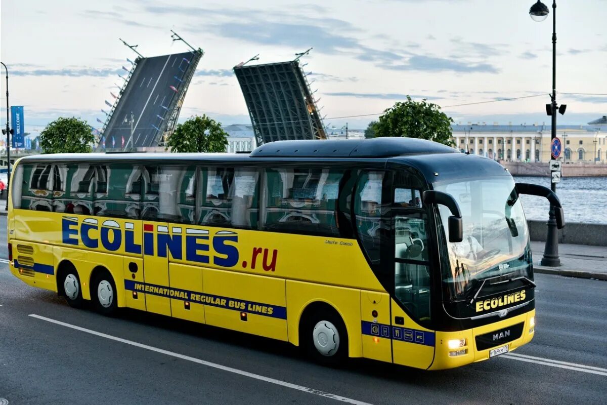 Эколайнс автобус вильнюс. Ecolines fotobus. Эколайнс автобус вильнюс. Минск эколайнс автобус. Ecolines москва варшава.