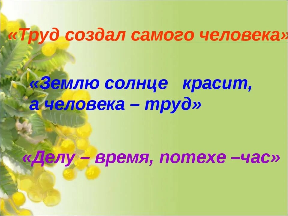 Классный час 3 класс февраль. Классный час на тему труд. классный час 3 класс. труд красит человека классный час. радость труда.