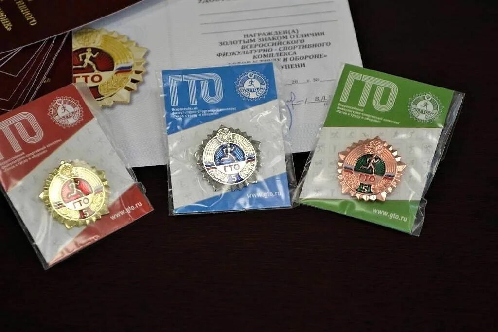 Готов к труду и обороне ссср. Гто спорт норма жизни. Как выглядит значок гто. Знак отличия вфск гто. Значки гто 2022.