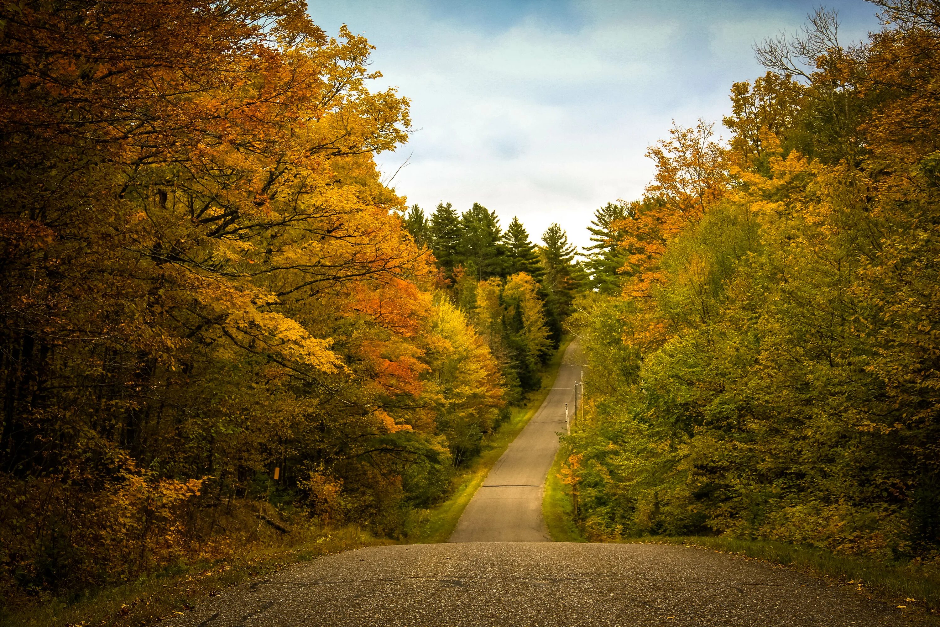 The trees fall across the road. Лесная дорога. Осень лес дорога. Осенний лес. Осенняя дорога в лесу.