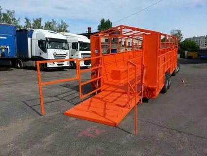 Трап 6