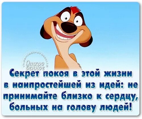 Будь проще не обращай внимание. Секрет покоя в этой жизни. Открытки не обращай внимания. Секрет покоя в этой жизни в наипростейшей из идей. Не обращать внимание на больных на голову людей.