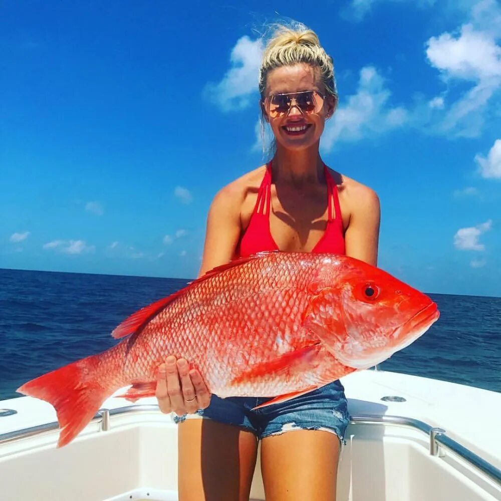 Ред снеппер рыба. Red snapper рыба. Красный снеппер рыба. Красный снеппер. Ред снеппер.