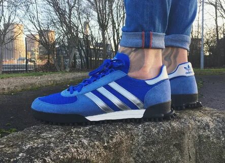 Adidas tr