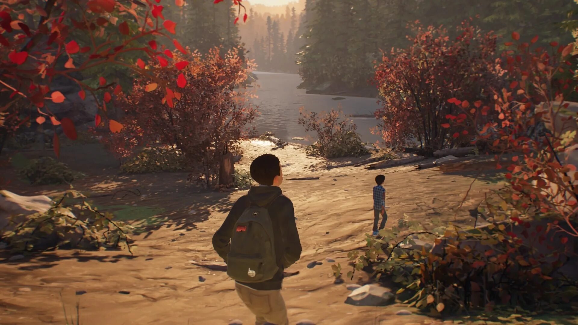 Life is Strange 2. Life is Strange 2 (ps4). Life is Strange 2 геймплей. Life is Strange 2 на пс4. 2 часть игры жизнь