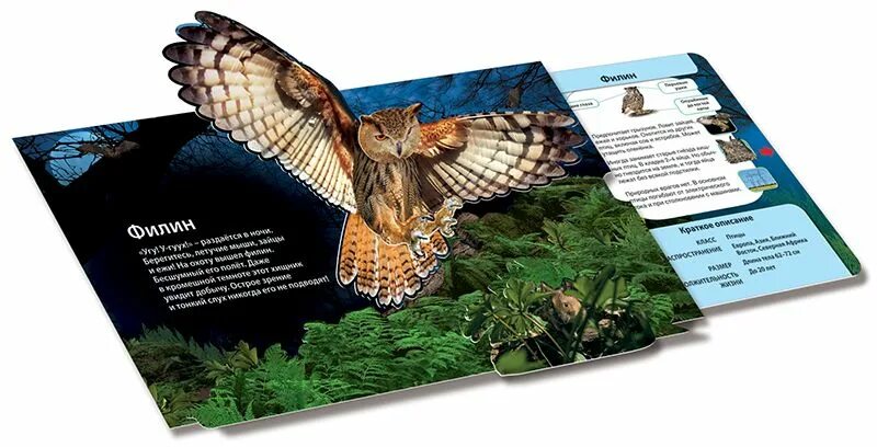 детские книги о животных. живая книга для детей. живая книга для детей. живая книга леса. книга живых.