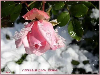 Вроде зима