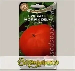 Помидор предложение