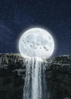 Moon him