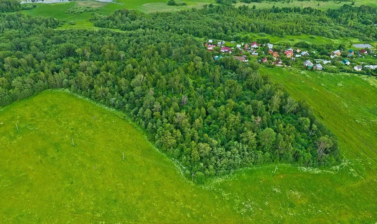 Холщёвики (деревня). Деревня надеждино истринский район. Земельные в истринском районе. Участок земли в истре. Малое ушаково истринский район.