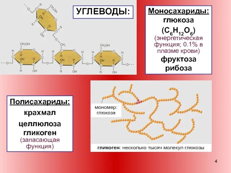 Углеводы крахмал гликоген Целлюлоза. Функции крахмала и гликогена. Структура крахмала и гликогена. Гликоген моносахарид.