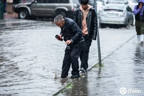 Вызывающая дождь
