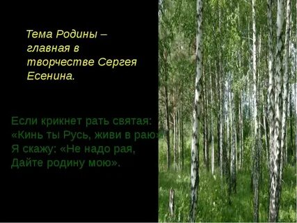 Дайте родину мою есенин