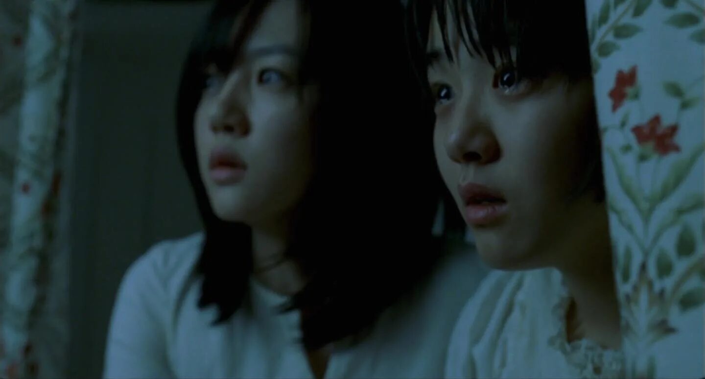 История двух сестёр фильм 2003. История двух сестёр фильм 2003. Актриса kim jeong ah. Фильм две сестры 2003 корея. Две сестры фильм япония.