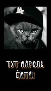 Ты не знаешь какой ты крутой
