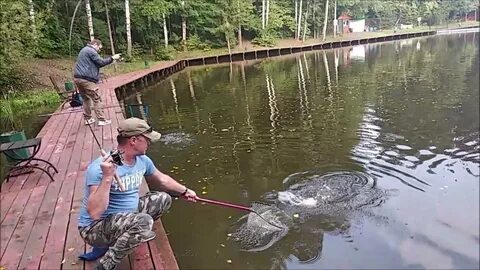 Рыбалка клевое место лосиный остров
