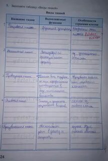 Биология 5 класс параграф 10 клетка основная