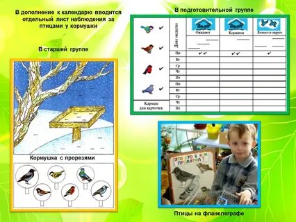 Дневник наблюдения проект