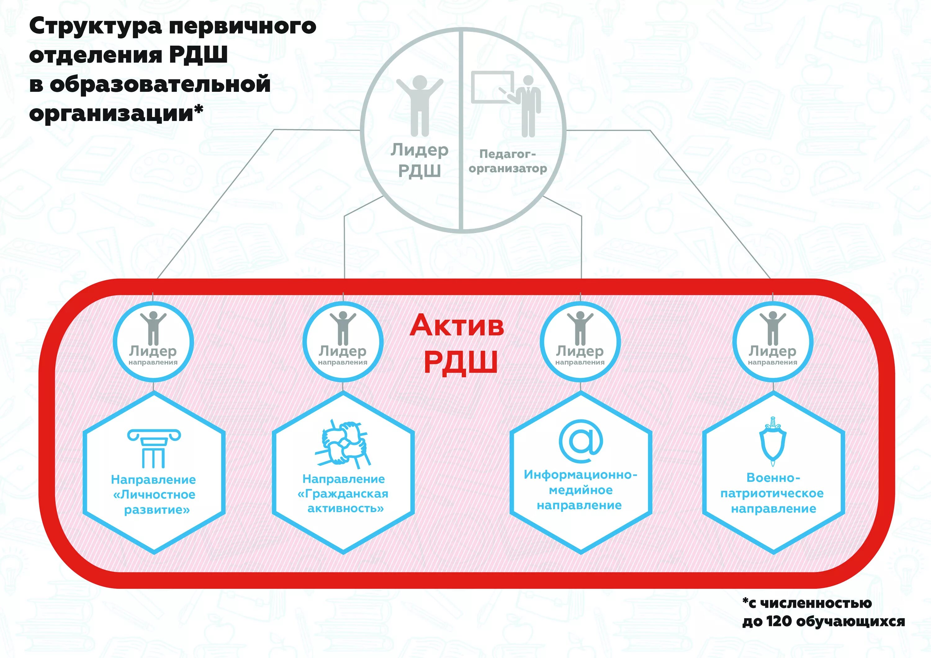 Структура первичной организации РДШ. Структура первичного отделения РДШ. Схема организационной структуры РДШ. Структура деятельности РДШ. Состав первичной организации