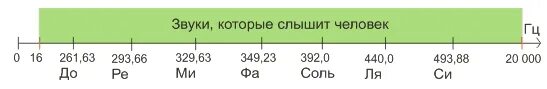 В каком звуковом диапазоне слышит человек. Диапазон слышимых человеком частот звука. Шкала звуковых частот. Какую частоту звука слышит человек. Слышимый диапазон частот для человека.