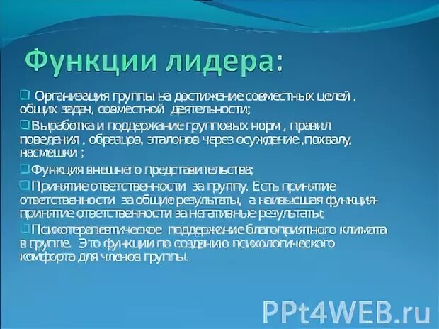 Задачи лидера организации. Задачи лидера проекта.