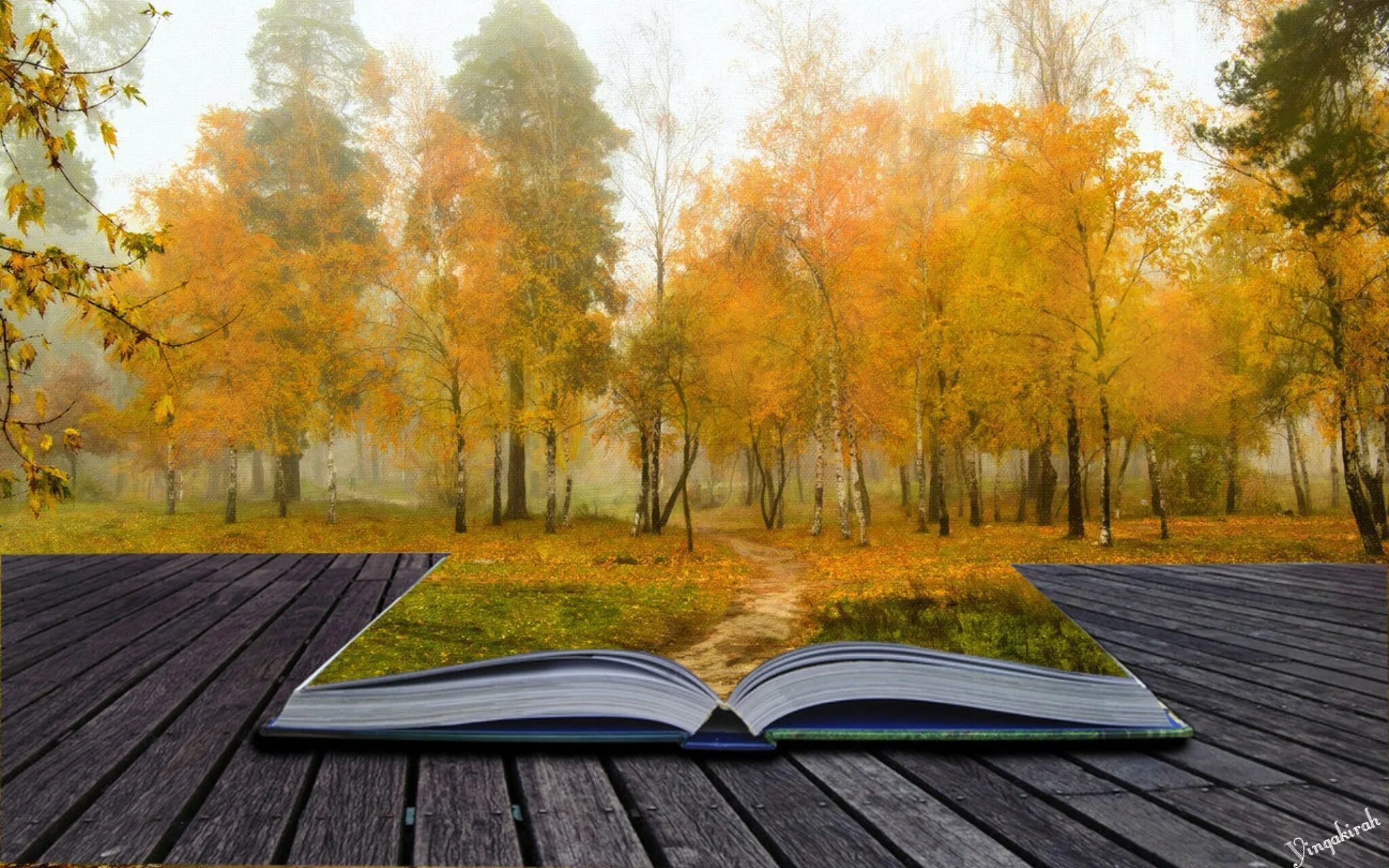 Книга на фоне природы. Книги про осень. Осень книги фон. Книга природа.