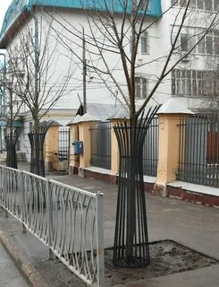 Посадки казань