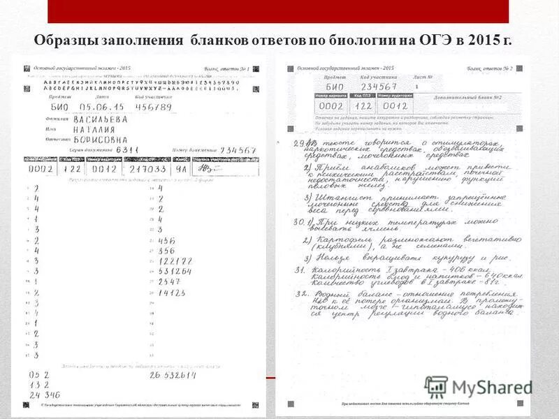 Бланки огэ информатика 2023