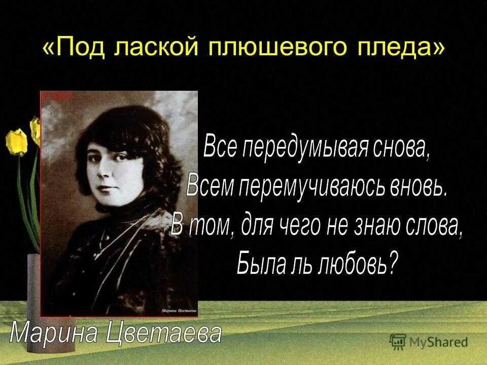 Цветаева стихотворения слушать. Под лаской плюшевого пледа. Цветаева под лаской плюшевого. Цветаева под лаской плюшевого пледа. Романс под лаской плюшевого пледа.