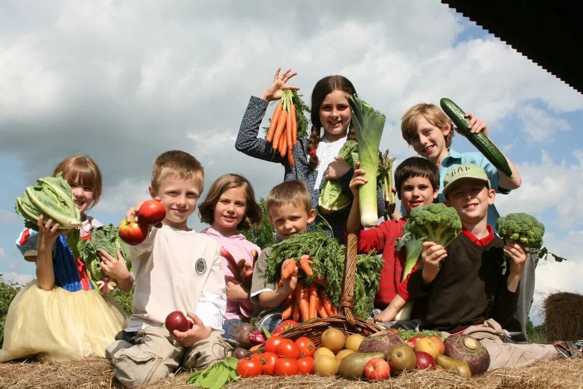 Vegetable family. Сбор урожая. Осенний сбор урожая. Люди собирают урожай. Сбор урожая для детей.