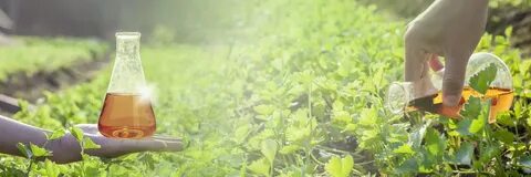 Agricultural chemistry journal