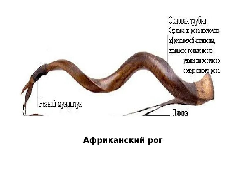 Рог читать 6 класс. Африканский рог. африканский рог полуостров. африканский рог на карте. страны африканского рога.