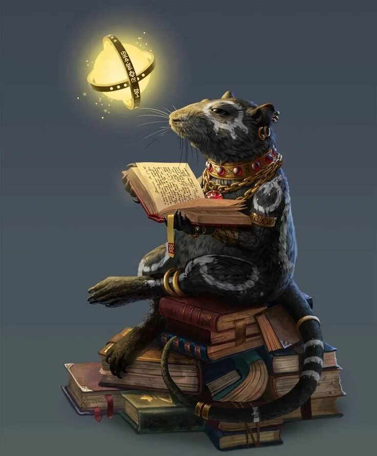 Wizard animals