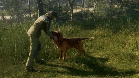 Hunter call of the wild dlc