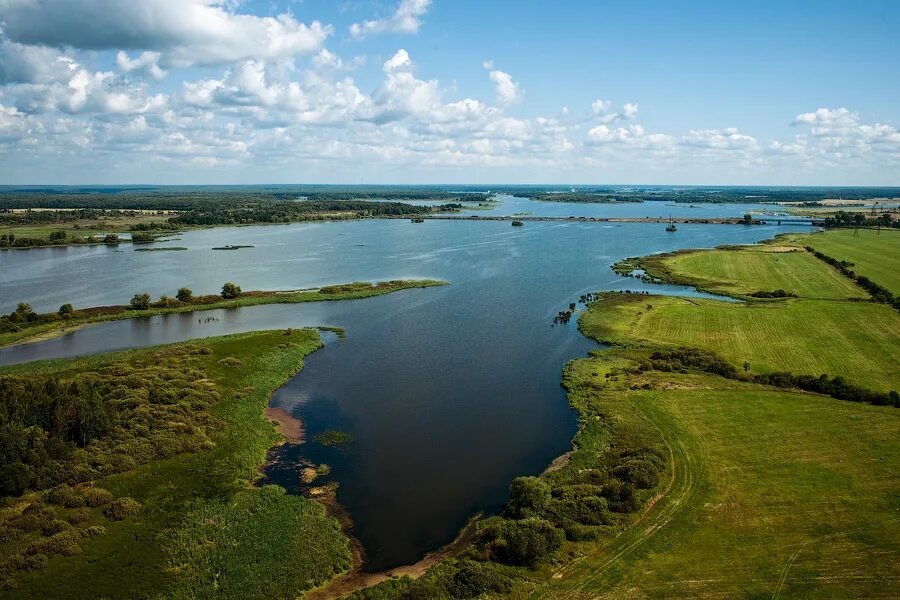 Заповедник завидово. Московское море Иваньковское водохранилище. Парк Завидово Тверская область. Московское море Тверская область Завидово. Завидово Иваньковское водохранилище.