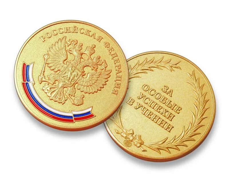 Золотая медаль за особые успехи. Золотая медаль. Медаль «за особые успехи выпускнику дона» ростовская область. Медаль российской федерации «за особые успехи в учении». Медаль за особые успехи в учении.