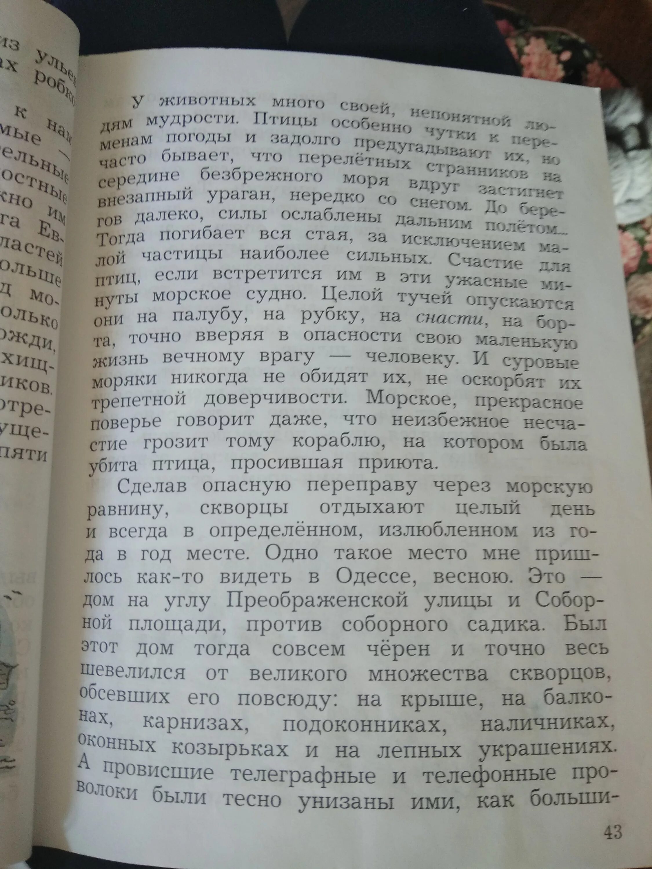 У животных много своей непонятной. У животных много своей непонятной людям мудрости. Куприн «у животных много своей, непонятной людям. Текст у животных много своей непонятной людям мудрости. У животных много своей непонятной людям мудрости ВПР 5.