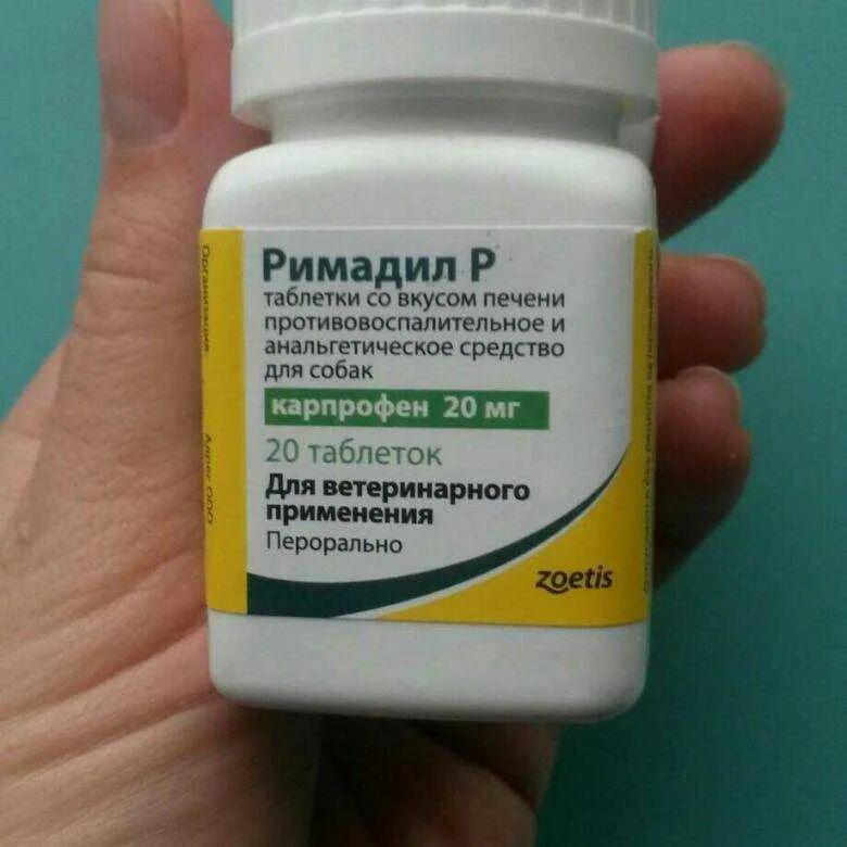 Дают ли собакам обезболивающее