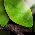 Андроид анимация. Листья небо. Tap leaves. Tap leaves. Tap leaves.