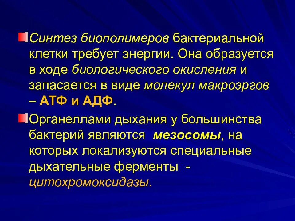 Синтез биополимеров. Синтезируются биополимеры.. Метаболизм микробов презентация. Значение биополимеров