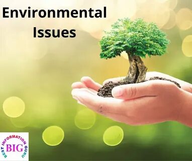 Environmental issues