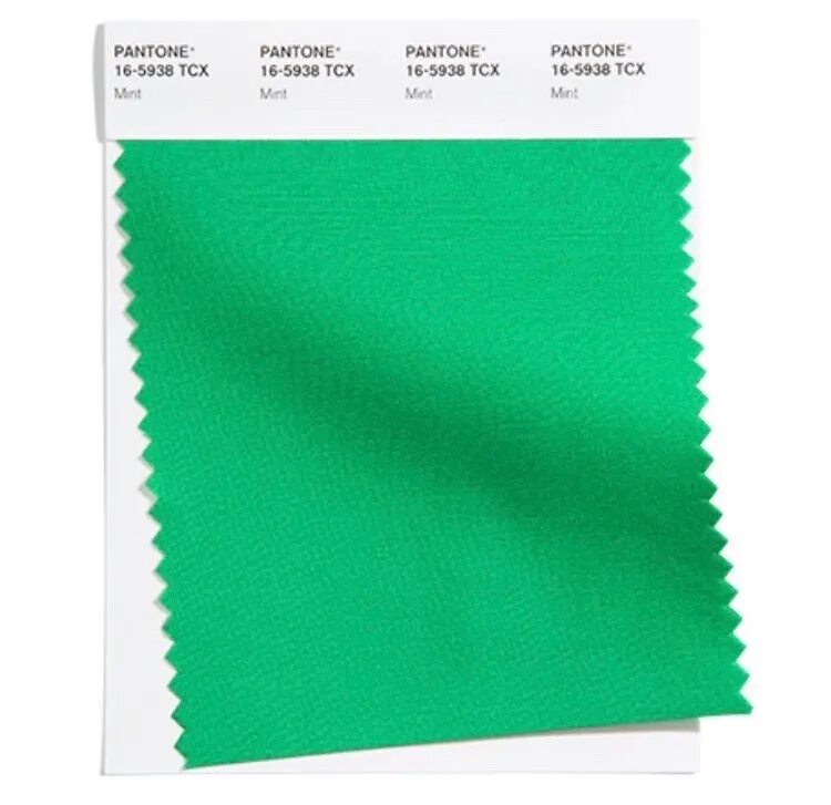 Цвета лета 2025. Pantone 16-5938 mint. 16-5938 пантон. зеленый пантон 2025. пантон 17-6154 tcx.