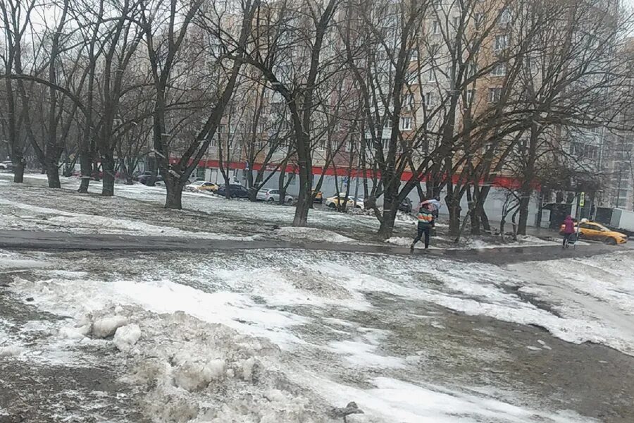 Ветер в москве деревья. Снег в Москве. Сильный снегопад повалил деревья в Москве. Снегопад в Москве. Снег в марте.